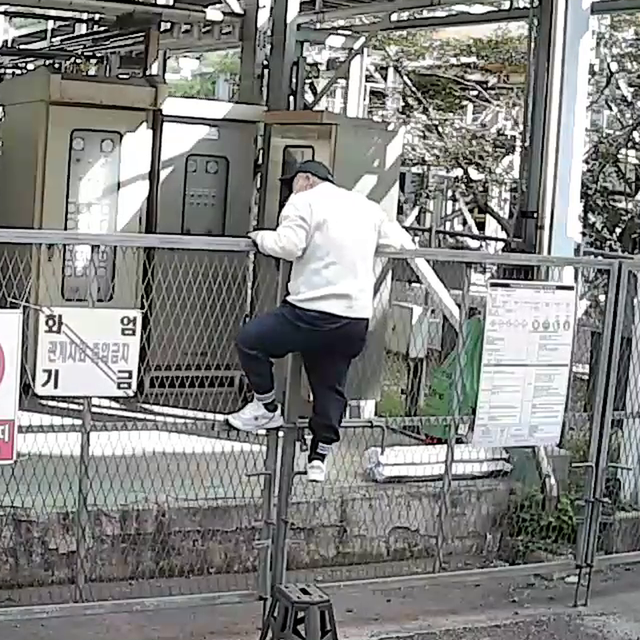 크롭